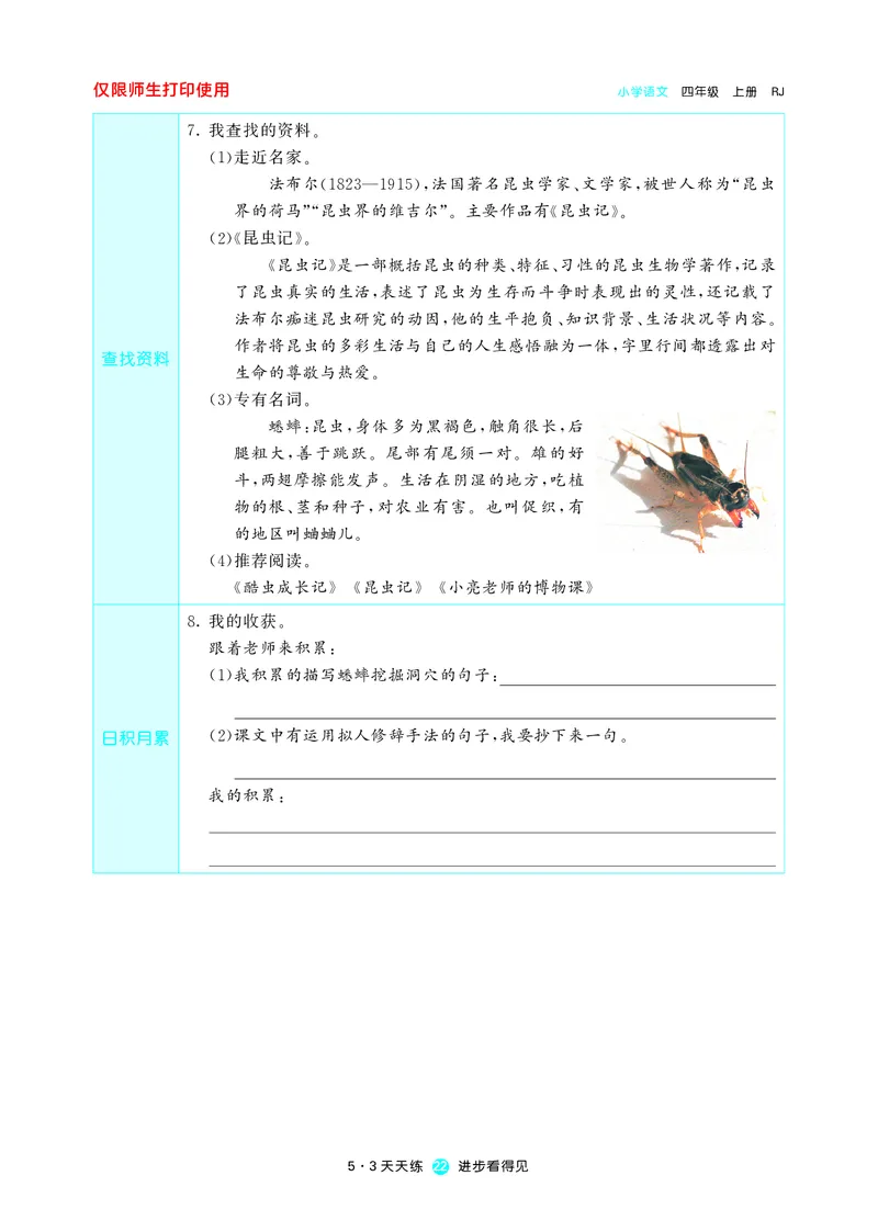 53预习单小学语文4年级上册_26春四年级上下册人教版_四上英语合集人教版PEP英语四年级上册新教材（教学视频+课件+动画+音频+练习+教案）_17练习资料_小学英语（预习复习资料大礼包）