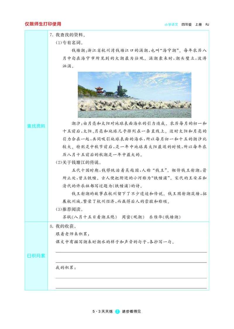 53预习单小学语文4年级上册_26春四年级上下册人教版_四上英语合集人教版PEP英语四年级上册新教材（教学视频+课件+动画+音频+练习+教案）_17练习资料_小学英语（预习复习资料大礼包）