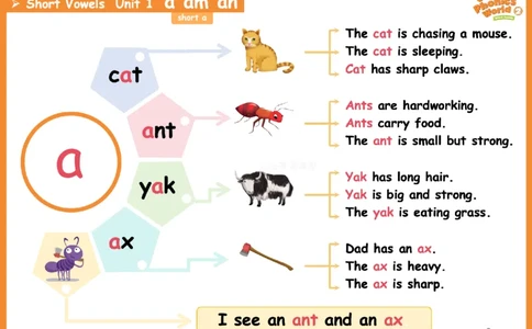 OPW2思维导图_《小学思维导图》_思维导图语数英第二套_英语_自然拼读1-5级思维导图