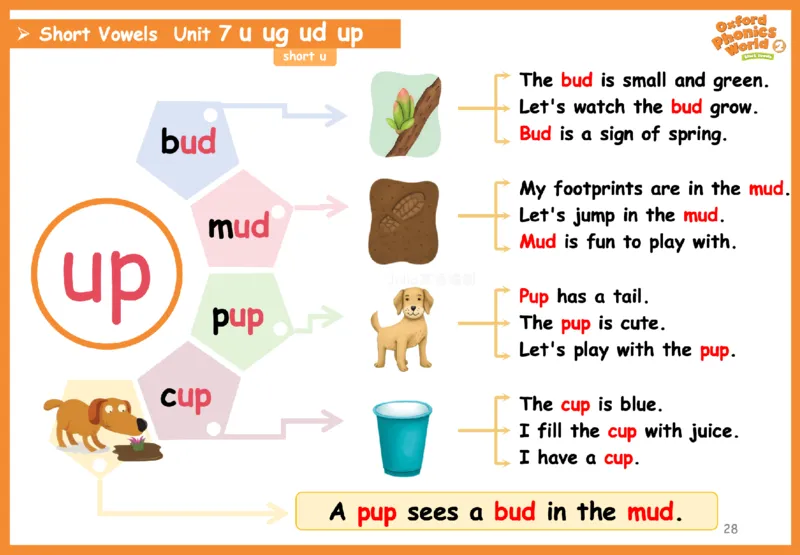 OPW2思维导图_《小学思维导图》_思维导图语数英第二套_英语_自然拼读1-5级思维导图