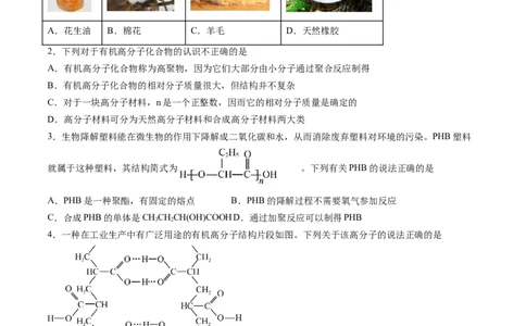 第五章合成高分子单元测试&middot;考点卷-（人教版2019选择性必修3）（原卷版）_高化_595801221724高中化学新人教版选择性必修一二三电子版教案PPT课件高中试卷_选择性必修3册（人教版）