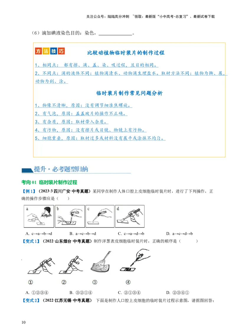 专题02细胞是生命活动的基本单位（讲义）（原卷版）_02中考总复习（2026版更新中）_08-生物-中考总复习_2024年中考复习资料_一轮复习_❤2024年中考生物一轮复习讲练测（全国通用）_讲义