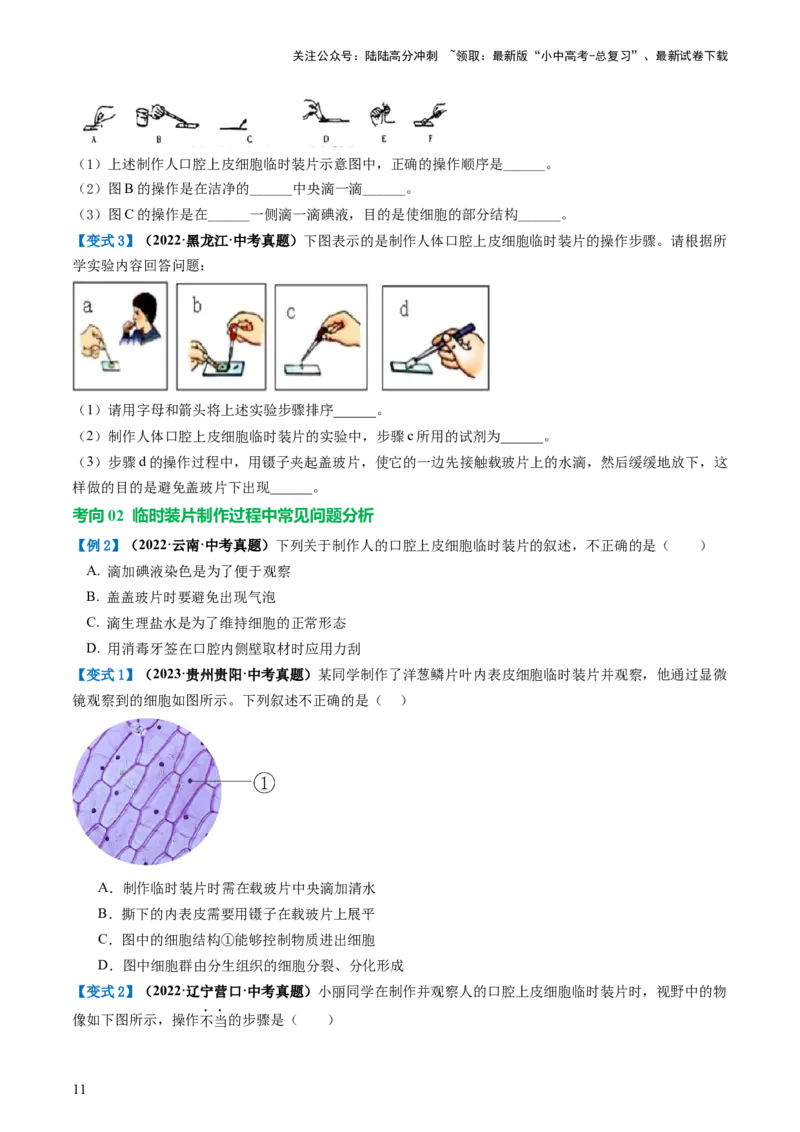 专题02细胞是生命活动的基本单位（讲义）（原卷版）_02中考总复习（2026版更新中）_08-生物-中考总复习_2024年中考复习资料_一轮复习_❤2024年中考生物一轮复习讲练测（全国通用）_讲义