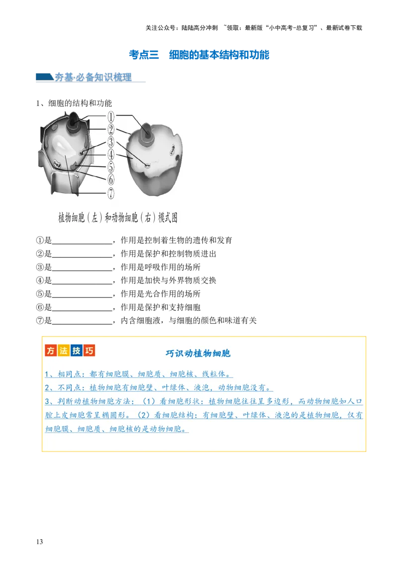 专题02细胞是生命活动的基本单位（讲义）（原卷版）_02中考总复习（2026版更新中）_08-生物-中考总复习_2024年中考复习资料_一轮复习_❤2024年中考生物一轮复习讲练测（全国通用）_讲义