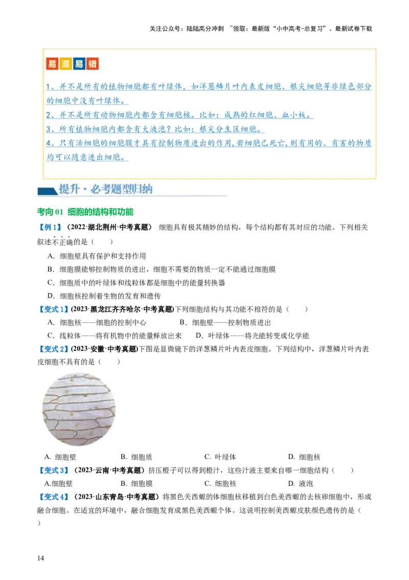 专题02细胞是生命活动的基本单位（讲义）（原卷版）_02中考总复习（2026版更新中）_08-生物-中考总复习_2024年中考复习资料_一轮复习_❤2024年中考生物一轮复习讲练测（全国通用）_讲义