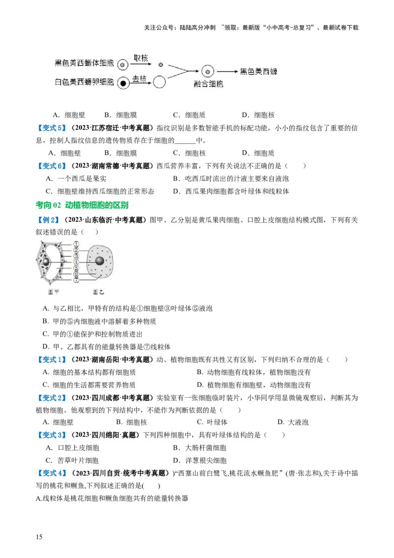 专题02细胞是生命活动的基本单位（讲义）（原卷版）_02中考总复习（2026版更新中）_08-生物-中考总复习_2024年中考复习资料_一轮复习_❤2024年中考生物一轮复习讲练测（全国通用）_讲义