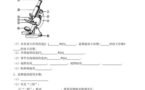 专题02细胞是生命活动的基本单位（讲义）（原卷版）_02中考总复习（2026版更新中）_08-生物-中考总复习_2024年中考复习资料_一轮复习_❤2024年中考生物一轮复习讲练测（全国通用）_讲义
