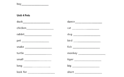 人教新起点三上单词默写表_26春四年级上下册人教版_四上英语合集人教版PEP英语四年级上册新教材（教学视频+课件+动画+音频+练习+教案）_17练习资料_小学英语（预习复习资料大礼包）_69