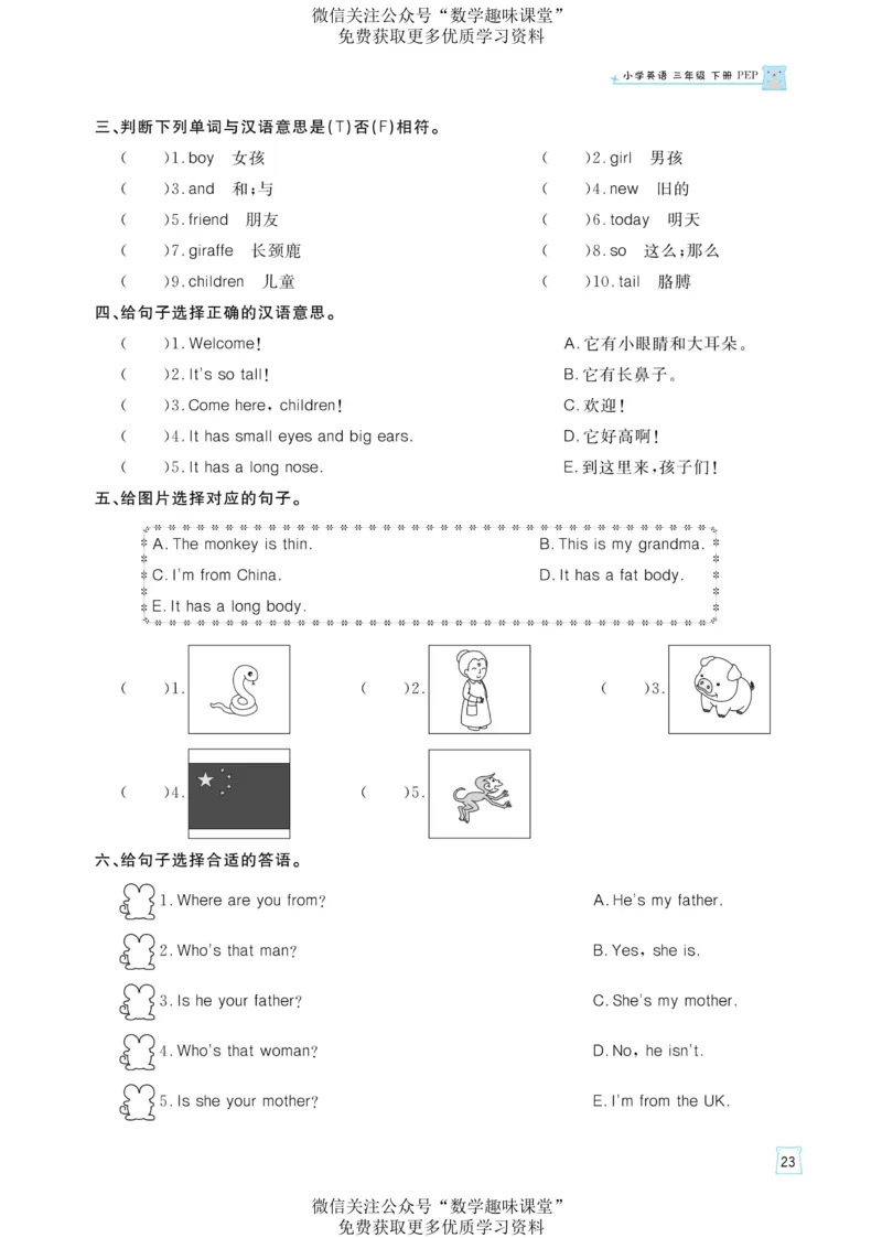 三下英语《黄冈名师天天练》练习册+知识卡+试卷+答案_26春四年级上下册人教版_四上英语合集人教版PEP英语四年级上册新教材（教学视频+课件+动画+音频+练习+教案）_17练习资料