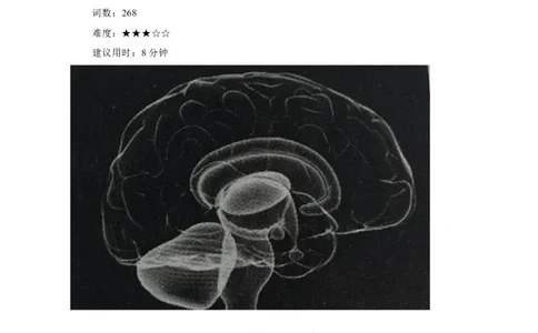24脑岛的新角色、智能窗户清洁机器人Ozmo、海边的&ldquo;教室&rdquo;（原卷版）_02中考总复习（2026版更新中）_03-英语-中考总复习_2024年中考复习资料_专项复习资料
