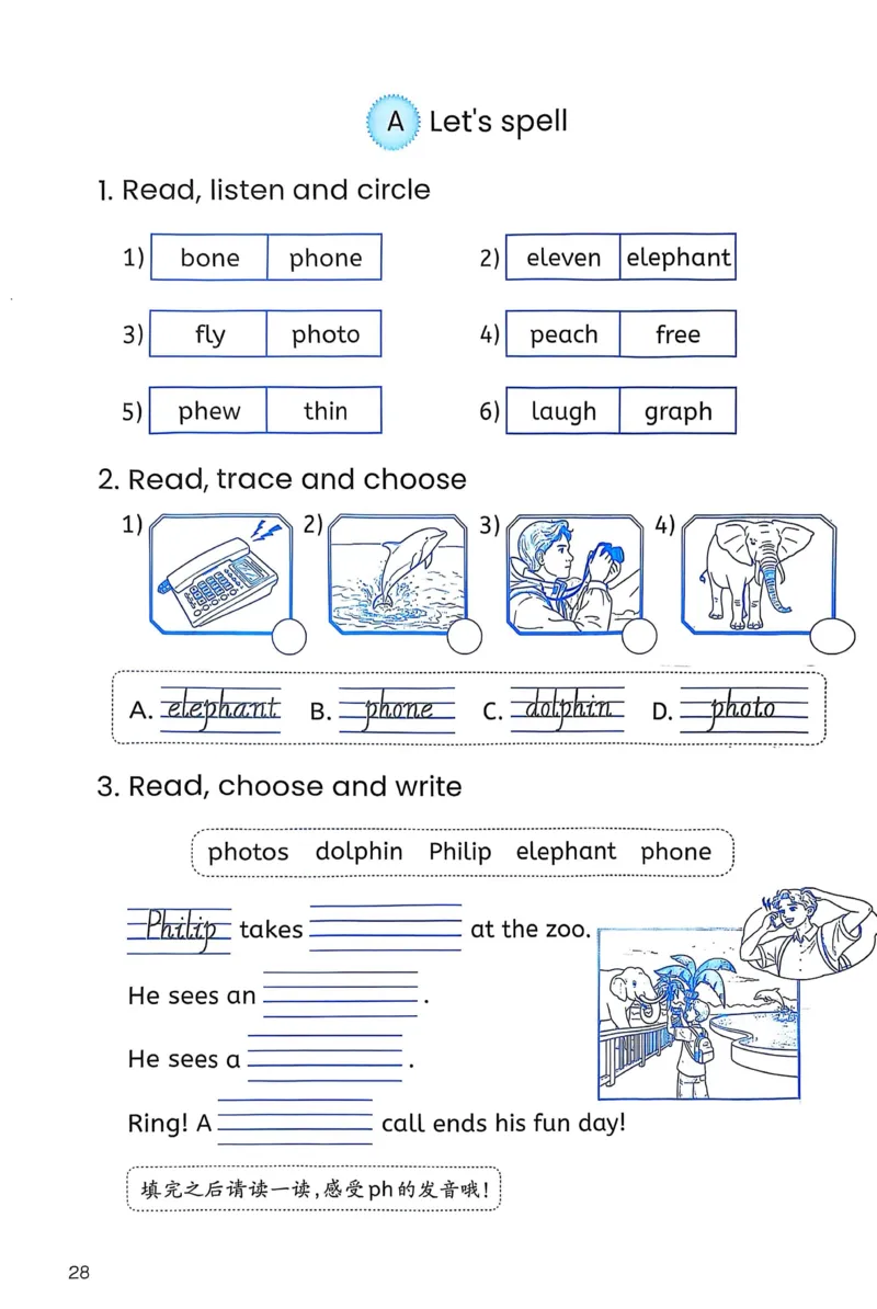 作业本_26春四年级上下册人教版_四上英语合集人教版PEP英语四年级上册新教材（教学视频+课件+动画+音频+练习+教案）_17练习资料_PEP版《英语作业本》3-6年级上册（2025秋）