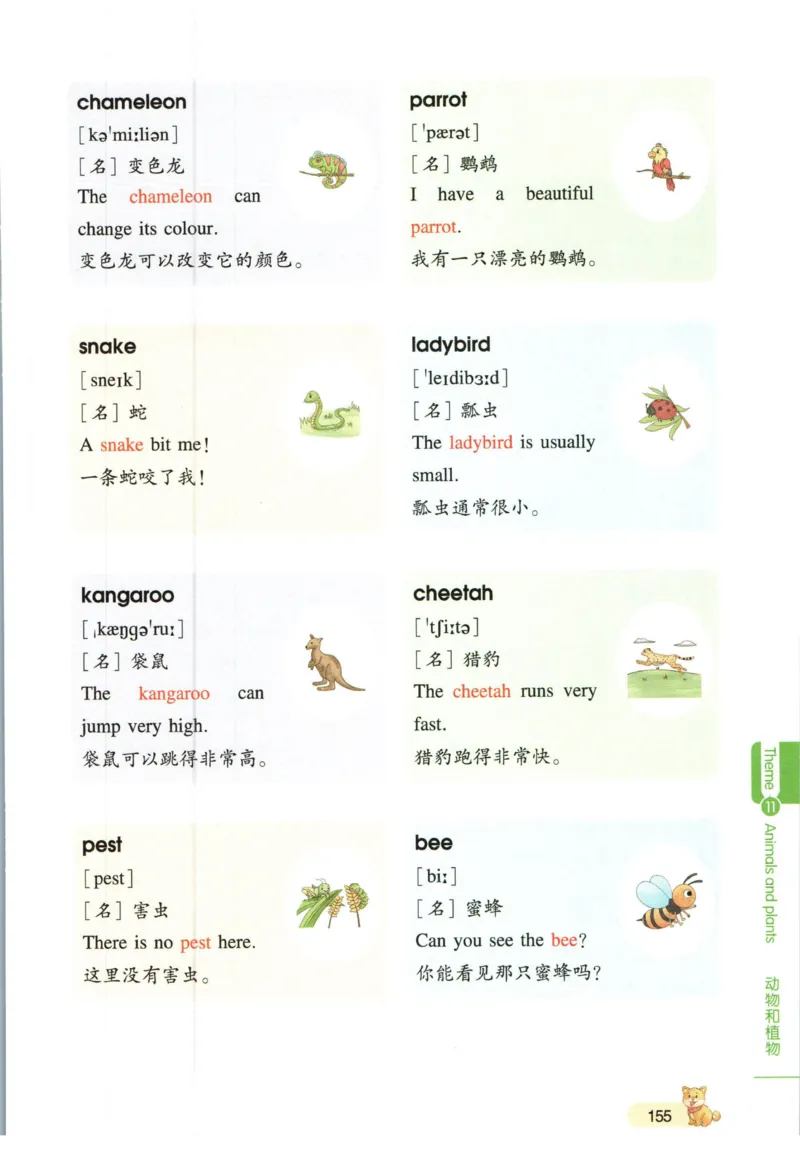 一本小学知识大盘点英语_26春四年级上下册人教版_四上英语合集人教版PEP英语四年级上册新教材（教学视频+课件+动画+音频+练习+教案）_17练习资料_小学英语（预习复习资料大礼包）