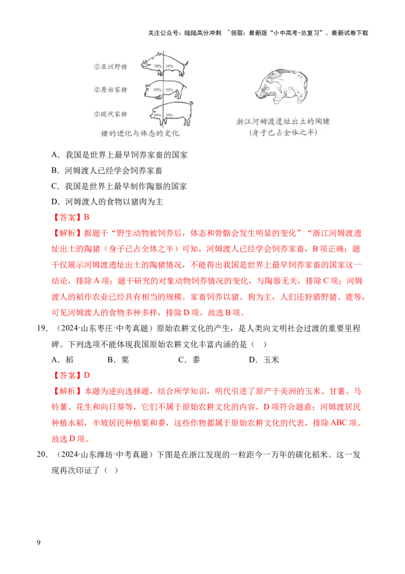 专题01中国境内早期人类与文明的起源&middot;选择题（全国通用）（解析版）_02中考总复习（2026版更新中）_06-历史-中考总复习_2026年中考复习（更新中）