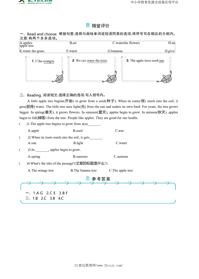 Unit4PlantsaroundusPartCReadingtime大单元整体教学设计_26春四年级上下册人教版_四上英语合集人教版PEP英语四年级上册新教材（教学视频+课件+动画+音频+练习+教案）_19同步教案课件