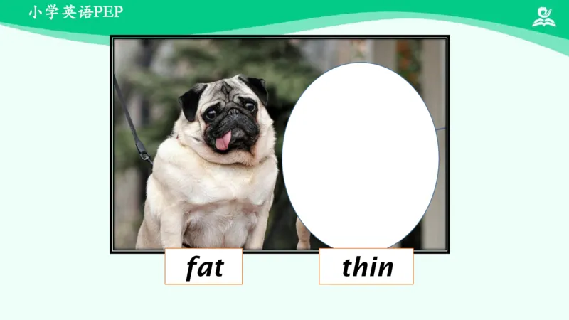 Unit3PartA课件_26春四年级上下册人教版_四上英语合集人教版PEP英语四年级上册新教材（教学视频+课件+动画+音频+练习+教案）_19同步教案课件_人教pep3_3年级下册_PDF课件