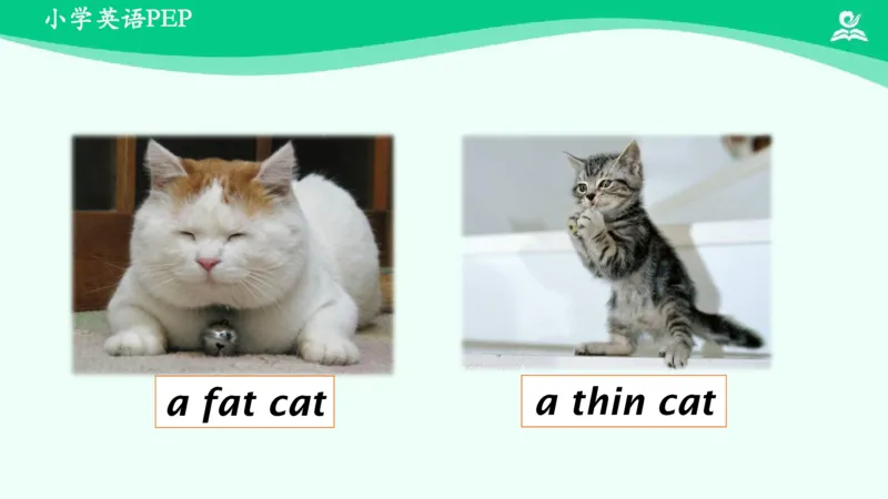 Unit3PartA课件_26春四年级上下册人教版_四上英语合集人教版PEP英语四年级上册新教材（教学视频+课件+动画+音频+练习+教案）_19同步教案课件_人教pep3_3年级下册_PDF课件