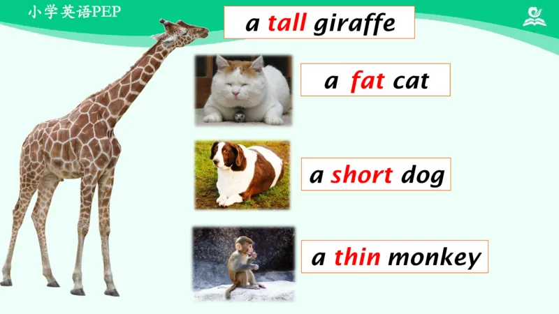 Unit3PartA课件_26春四年级上下册人教版_四上英语合集人教版PEP英语四年级上册新教材（教学视频+课件+动画+音频+练习+教案）_19同步教案课件_人教pep3_3年级下册_PDF课件