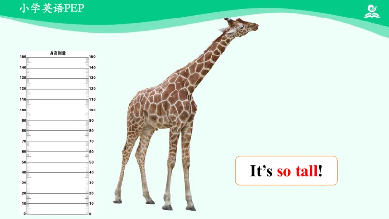 Unit3PartA课件_26春四年级上下册人教版_四上英语合集人教版PEP英语四年级上册新教材（教学视频+课件+动画+音频+练习+教案）_19同步教案课件_人教pep3_3年级下册_PDF课件