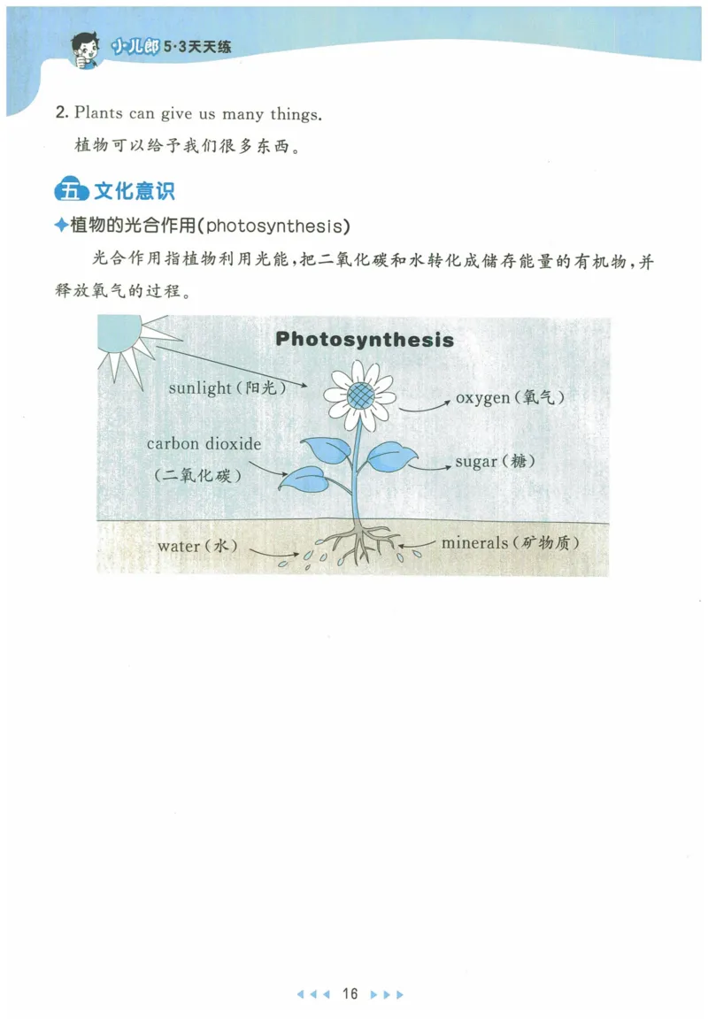 三年级英语上册人教PEP版24秋《53天天练》知识清单_26春四年级上下册人教版_四上英语合集人教版PEP英语四年级上册新教材（教学视频+课件+动画+音频+练习+教案）_17练习资料