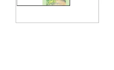 C-学习任务单_26春四年级上下册人教版_四上英语合集人教版PEP英语四年级上册新教材（教学视频+课件+动画+音频+练习+教案）_17练习资料_小学英语（预习复习资料大礼包）_Unit6_412