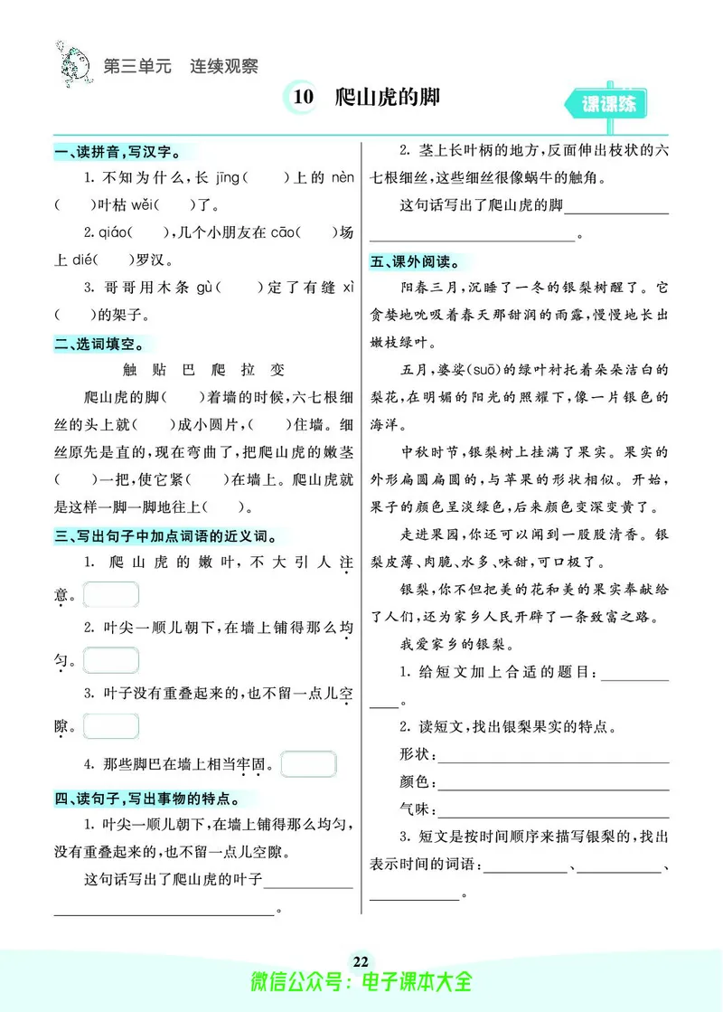 《素养提升手册》4上_26春四年级上下册人教版_四上英语合集人教版PEP英语四年级上册新教材（教学视频+课件+动画+音频+练习+教案）_17练习资料_小学英语（预习复习资料大礼包）