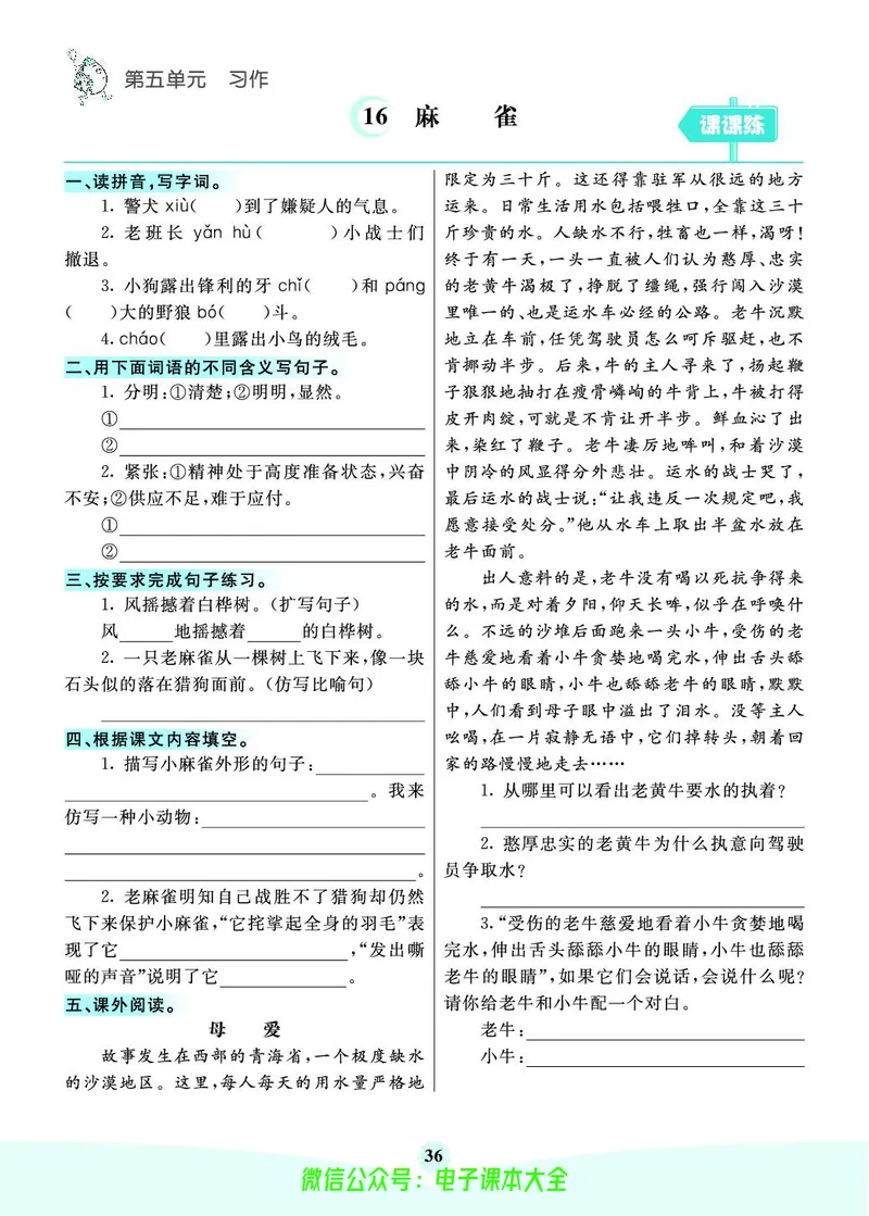 《素养提升手册》4上_26春四年级上下册人教版_四上英语合集人教版PEP英语四年级上册新教材（教学视频+课件+动画+音频+练习+教案）_17练习资料_小学英语（预习复习资料大礼包）