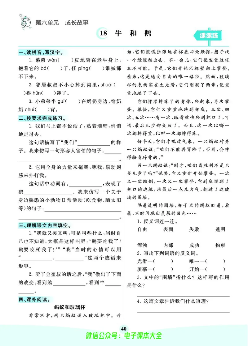 《素养提升手册》4上_26春四年级上下册人教版_四上英语合集人教版PEP英语四年级上册新教材（教学视频+课件+动画+音频+练习+教案）_17练习资料_小学英语（预习复习资料大礼包）