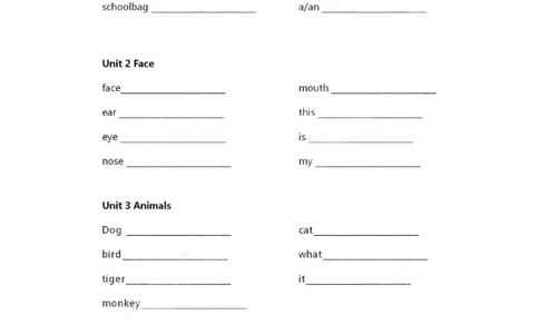 人教新起点一上单词默写表_26春四年级上下册人教版_四上英语合集人教版PEP英语四年级上册新教材（教学视频+课件+动画+音频+练习+教案）_17练习资料_小学英语（预习复习资料大礼包）