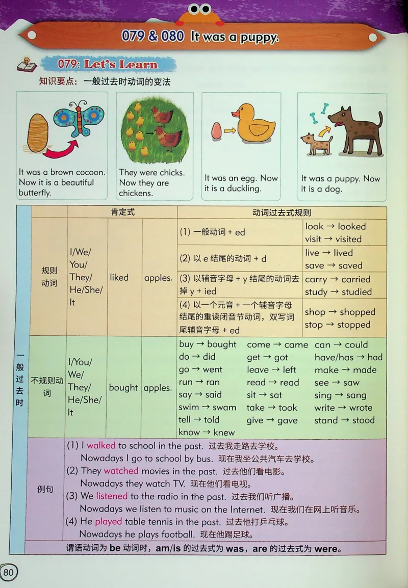 5英语~文霸-新_26春四年级上下册人教版_四上英语合集人教版PEP英语四年级上册新教材（教学视频+课件+动画+音频+练习+教案）_17练习资料_小学英语（预习复习资料大礼包）