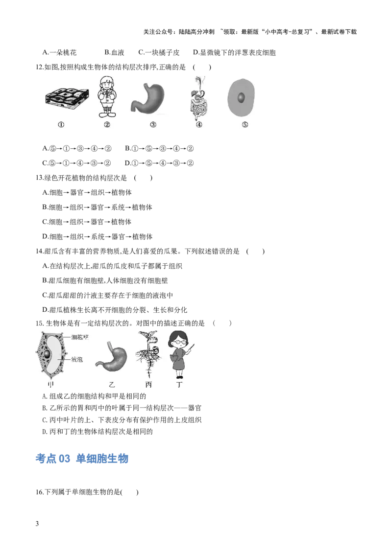 专题03细胞怎样构成生物体（练习）（原卷版）_02中考总复习（2026版更新中）_08-生物-中考总复习_2024年中考复习资料_一轮复习_❤2024年中考生物一轮复习讲练测（全国通用）_练习