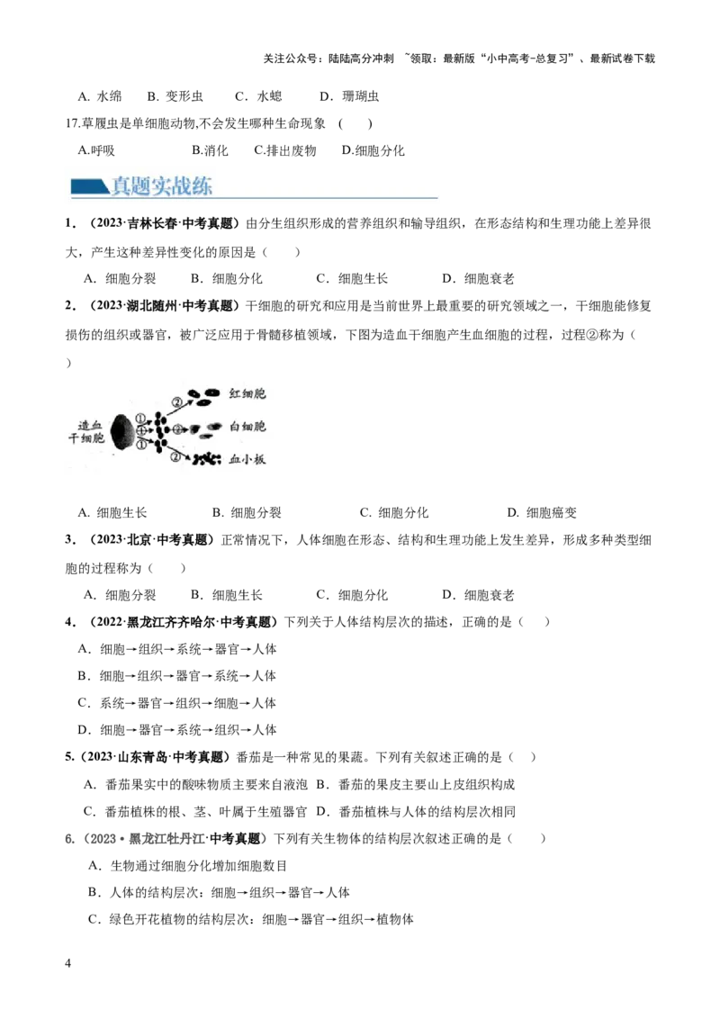 专题03细胞怎样构成生物体（练习）（原卷版）_02中考总复习（2026版更新中）_08-生物-中考总复习_2024年中考复习资料_一轮复习_❤2024年中考生物一轮复习讲练测（全国通用）_练习