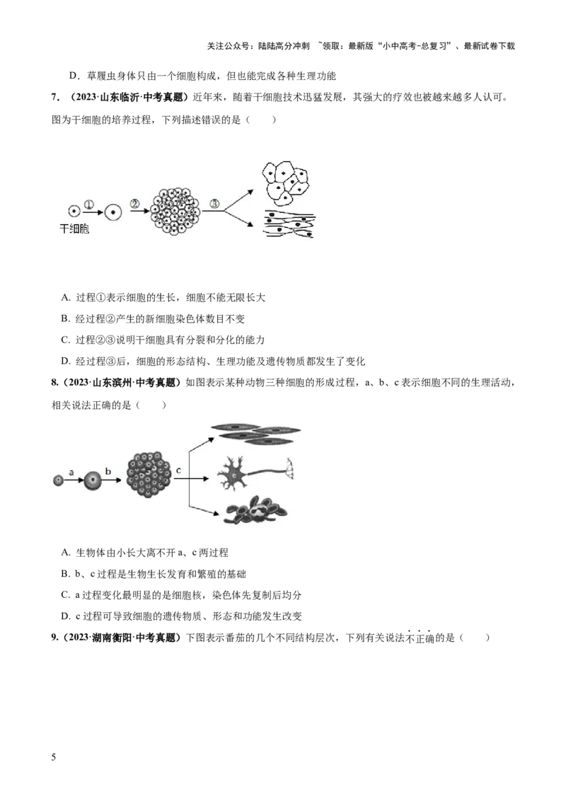 专题03细胞怎样构成生物体（练习）（原卷版）_02中考总复习（2026版更新中）_08-生物-中考总复习_2024年中考复习资料_一轮复习_❤2024年中考生物一轮复习讲练测（全国通用）_练习