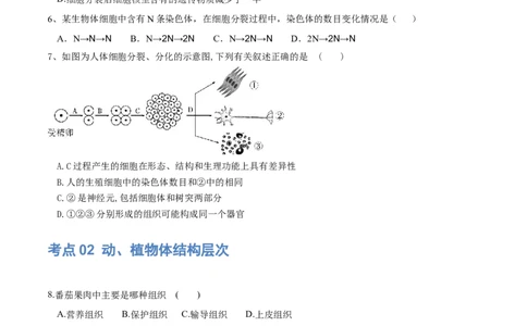 专题03细胞怎样构成生物体（练习）（原卷版）_02中考总复习（2026版更新中）_08-生物-中考总复习_2024年中考复习资料_一轮复习_❤2024年中考生物一轮复习讲练测（全国通用）_练习