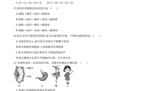 专题03细胞怎样构成生物体（练习）（原卷版）_02中考总复习（2026版更新中）_08-生物-中考总复习_2024年中考复习资料_一轮复习_❤2024年中考生物一轮复习讲练测（全国通用）_练习