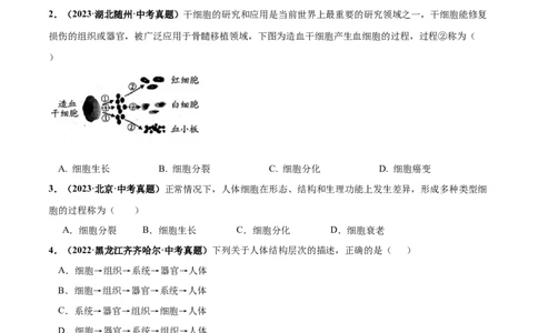 专题03细胞怎样构成生物体（练习）（原卷版）_02中考总复习（2026版更新中）_08-生物-中考总复习_2024年中考复习资料_一轮复习_❤2024年中考生物一轮复习讲练测（全国通用）_练习