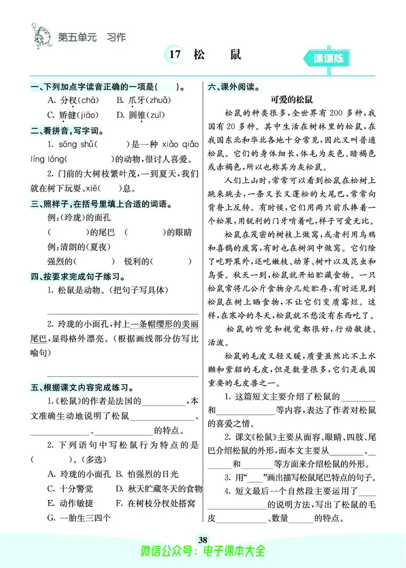 《素养提升手册》5上_26春四年级上下册人教版_四上英语合集人教版PEP英语四年级上册新教材（教学视频+课件+动画+音频+练习+教案）_17练习资料_小学英语（预习复习资料大礼包）