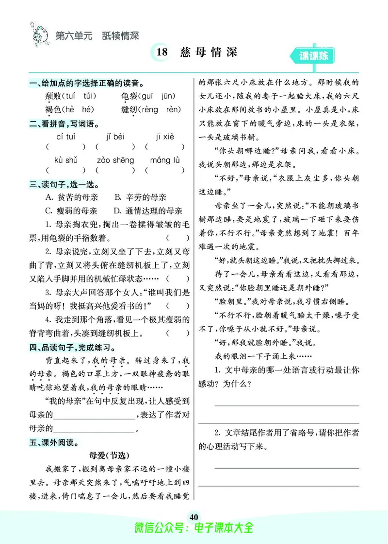 《素养提升手册》5上_26春四年级上下册人教版_四上英语合集人教版PEP英语四年级上册新教材（教学视频+课件+动画+音频+练习+教案）_17练习资料_小学英语（预习复习资料大礼包）