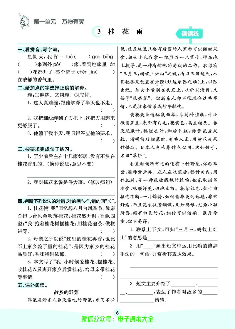 《素养提升手册》5上_26春四年级上下册人教版_四上英语合集人教版PEP英语四年级上册新教材（教学视频+课件+动画+音频+练习+教案）_17练习资料_小学英语（预习复习资料大礼包）