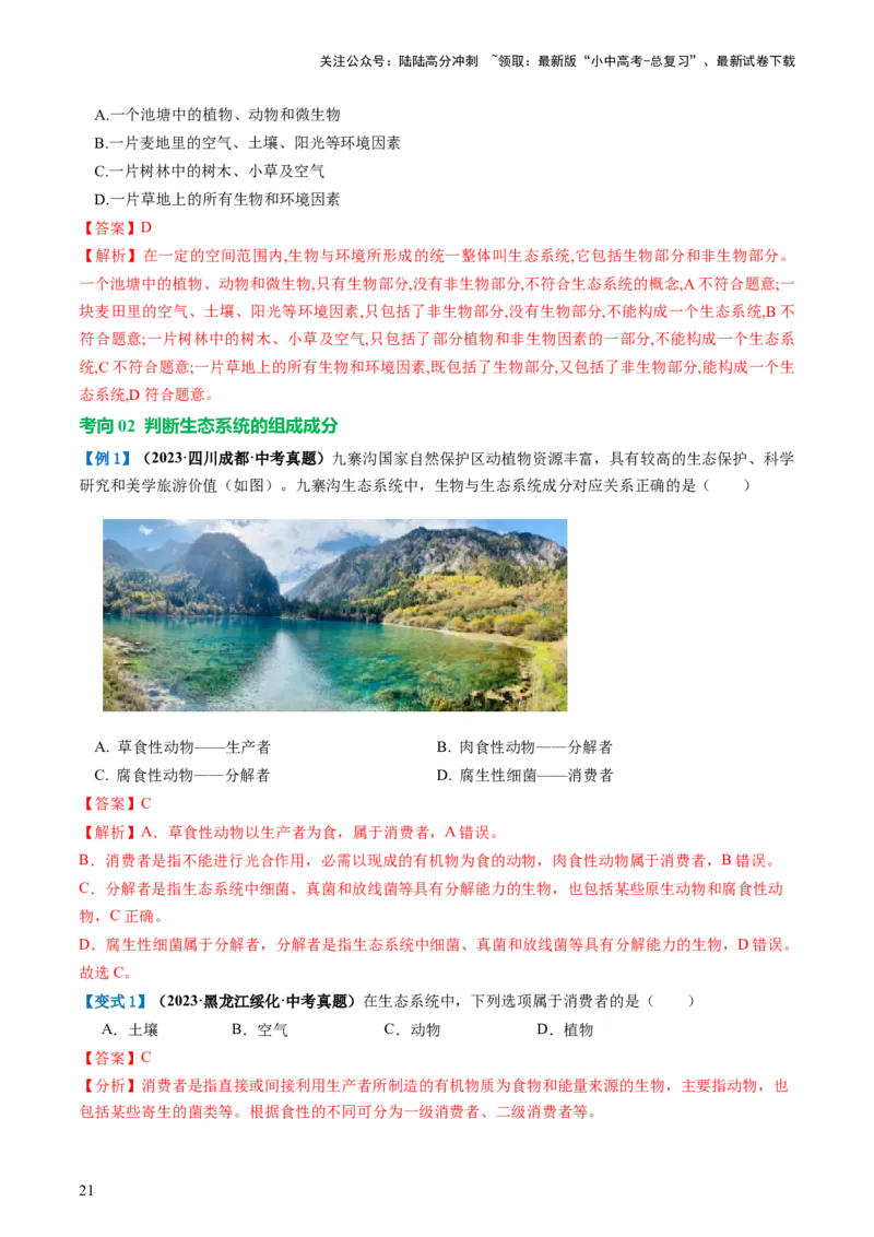专题01生物和生物圈（讲义）（解析版）_02中考总复习（2026版更新中）_08-生物-中考总复习_2024年中考复习资料_一轮复习_❤2024年中考生物一轮复习讲练测（全国通用）_讲义