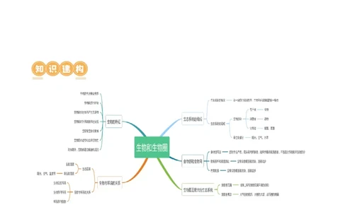 专题01生物和生物圈（讲义）（解析版）_02中考总复习（2026版更新中）_08-生物-中考总复习_2024年中考复习资料_一轮复习_❤2024年中考生物一轮复习讲练测（全国通用）_讲义
