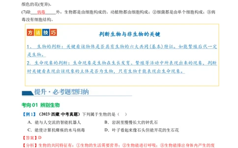 专题01生物和生物圈（讲义）（解析版）_02中考总复习（2026版更新中）_08-生物-中考总复习_2024年中考复习资料_一轮复习_❤2024年中考生物一轮复习讲练测（全国通用）_讲义