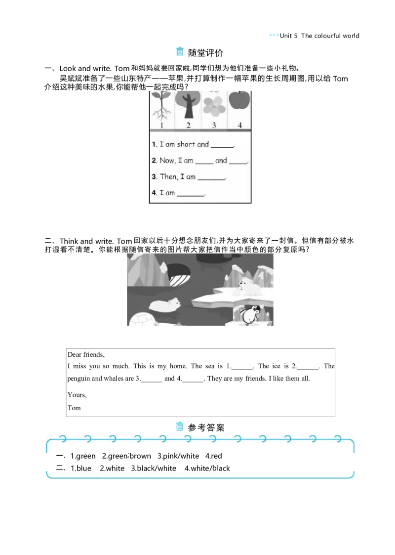 Unit5ThecolourfulworldPartCReadingtime大单元整体教学设计_26春四年级上下册人教版_四上英语合集人教版PEP英语四年级上册新教材（教学视频+课件+动画+音频+练习+教案）_19同步教案课件
