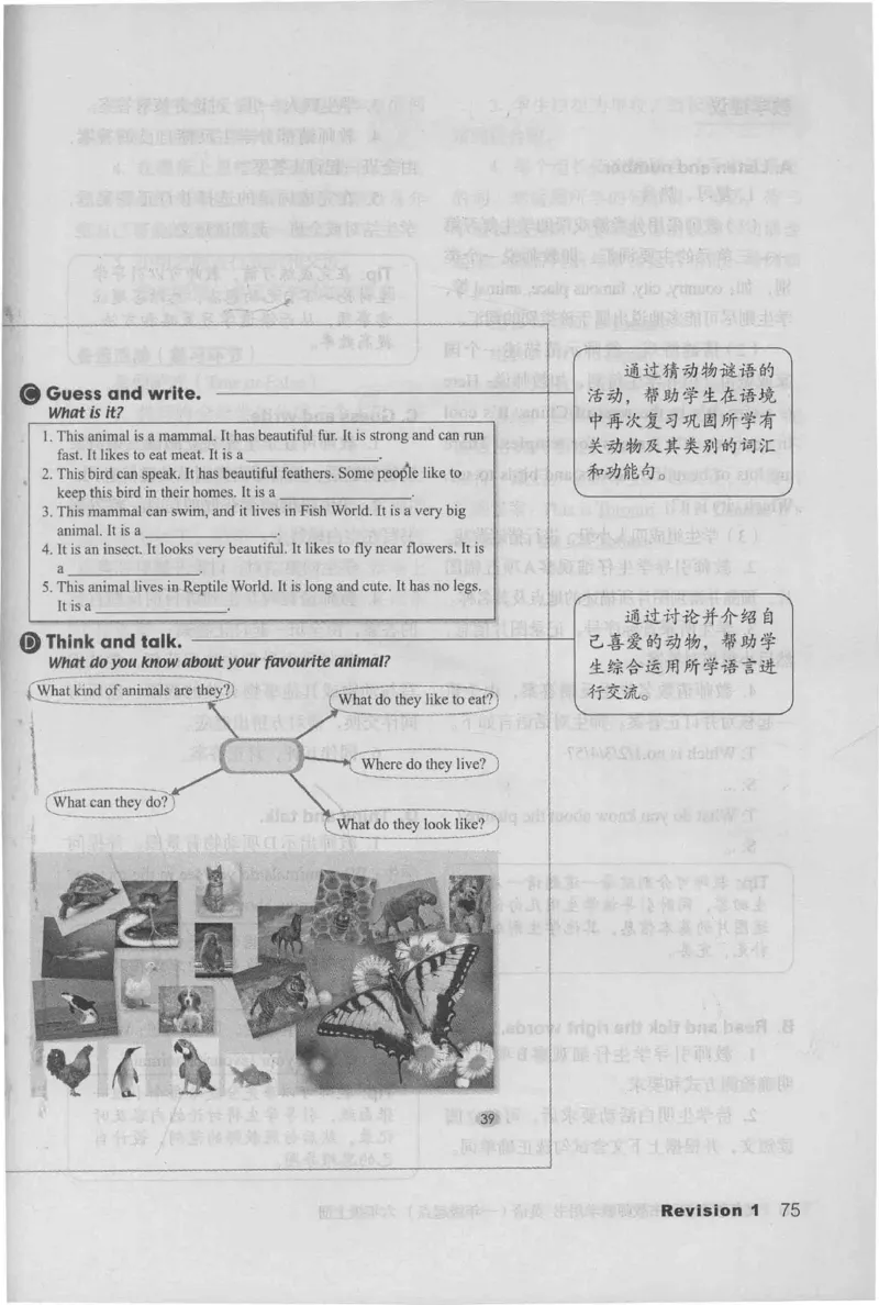 6上_26春四年级上下册人教版_四上英语合集人教版PEP英语四年级上册新教材（教学视频+课件+动画+音频+练习+教案）_16教师用书_小学英语_人教新起点小学英语（一起点）