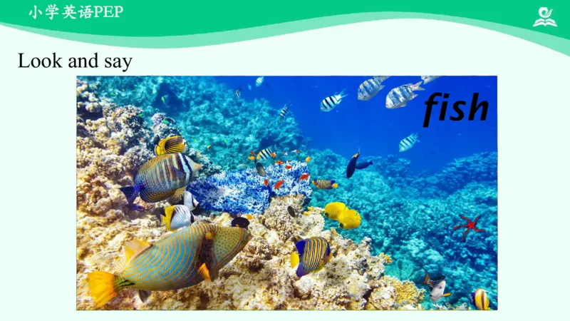 Recycle1PartB课件_26春四年级上下册人教版_四上英语合集人教版PEP英语四年级上册新教材（教学视频+课件+动画+音频+练习+教案）_19同步教案课件_人教pep3_3年级下册_PDF课件