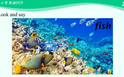 Recycle1PartB课件_26春四年级上下册人教版_四上英语合集人教版PEP英语四年级上册新教材（教学视频+课件+动画+音频+练习+教案）_19同步教案课件_人教pep3_3年级下册_PDF课件