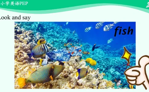 Recycle1PartB课件_26春四年级上下册人教版_四上英语合集人教版PEP英语四年级上册新教材（教学视频+课件+动画+音频+练习+教案）_19同步教案课件_人教pep3_3年级下册_PDF课件