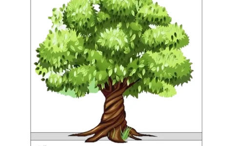 B-学习任务单_26春四年级上下册人教版_四上英语合集人教版PEP英语四年级上册新教材（教学视频+课件+动画+音频+练习+教案）_17练习资料_小学英语（预习复习资料大礼包）_Unit2