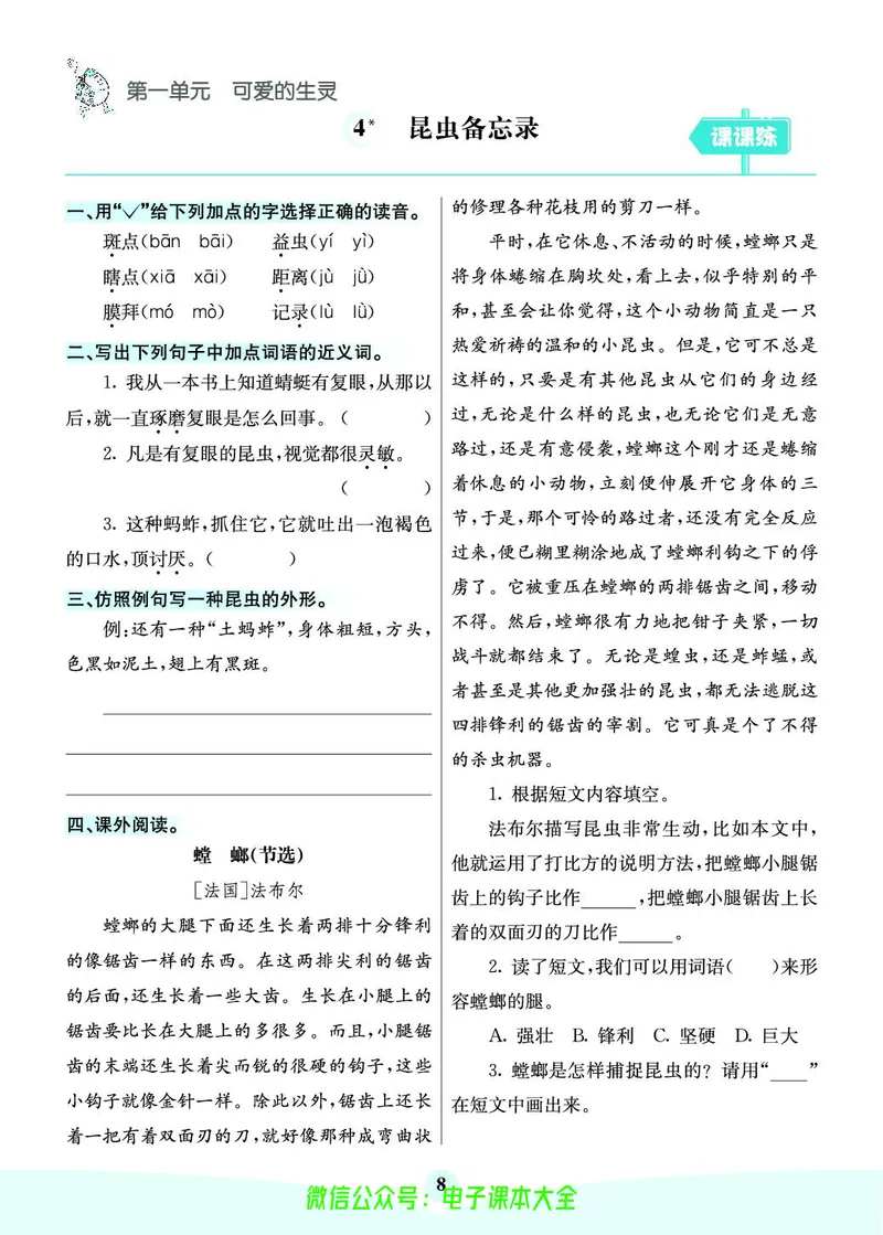 《素养提升手册》3下_26春四年级上下册人教版_四上英语合集人教版PEP英语四年级上册新教材（教学视频+课件+动画+音频+练习+教案）_17练习资料_小学英语（预习复习资料大礼包）
