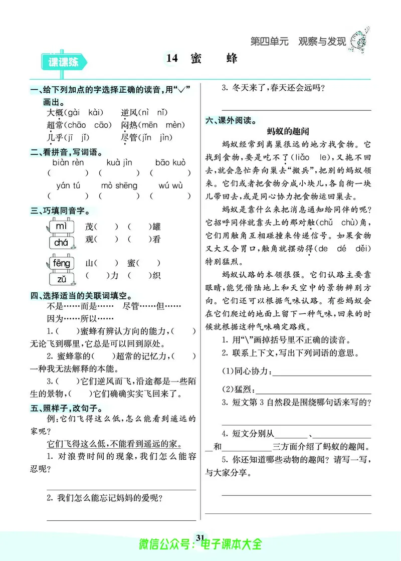 《素养提升手册》3下_26春四年级上下册人教版_四上英语合集人教版PEP英语四年级上册新教材（教学视频+课件+动画+音频+练习+教案）_17练习资料_小学英语（预习复习资料大礼包）