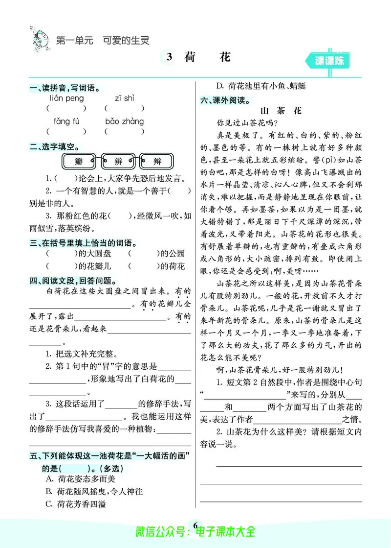 《素养提升手册》3下_26春四年级上下册人教版_四上英语合集人教版PEP英语四年级上册新教材（教学视频+课件+动画+音频+练习+教案）_17练习资料_小学英语（预习复习资料大礼包）